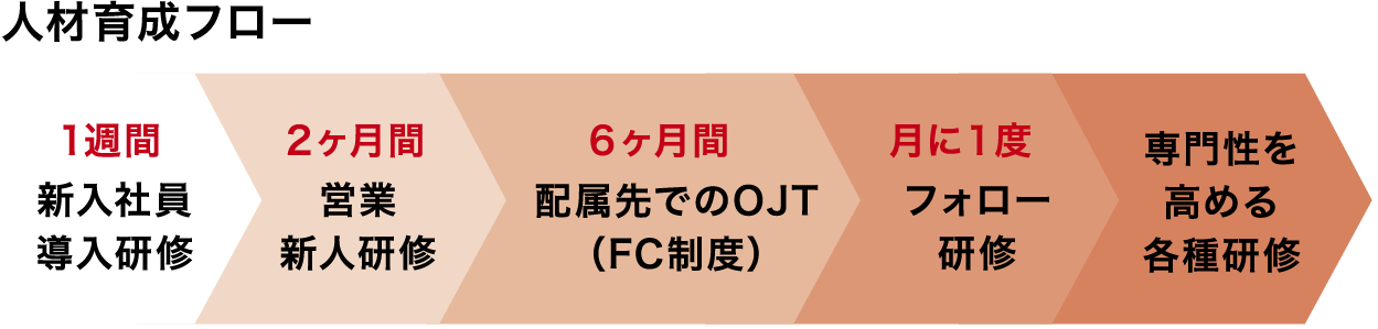 人材育成フロー